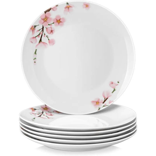 Dinner Plates Set of 6, 10.5 Inch Ceramic Plates Sets,Salad Plates Round Dish,